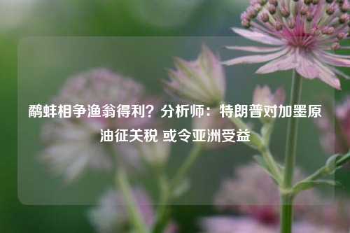 鹬蚌相争渔翁得利？分析师：特朗普对加墨原油征关税 或令亚洲受益