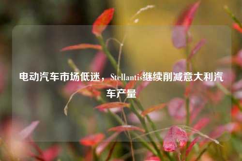 电动汽车市场低迷，Stellantis继续削减意大利汽车产量