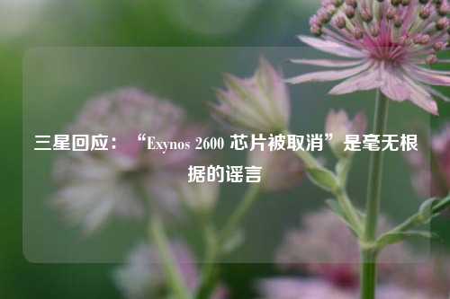 三星回应：“Exynos 2600 芯片被取消”是毫无根据的谣言