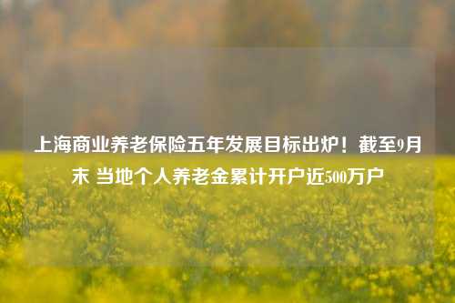 上海商业养老保险五年发展目标出炉！截至9月末 当地个人养老金累计开户近500万户