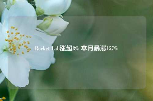 Rocket Lab涨超8% 本月暴涨157%