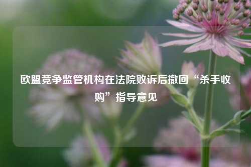 欧盟竞争监管机构在法院败诉后撤回“杀手收购”指导意见