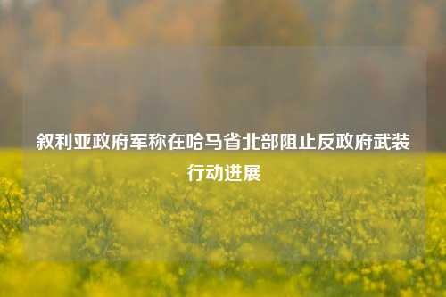 叙利亚政府军称在哈马省北部阻止反政府武装行动进展