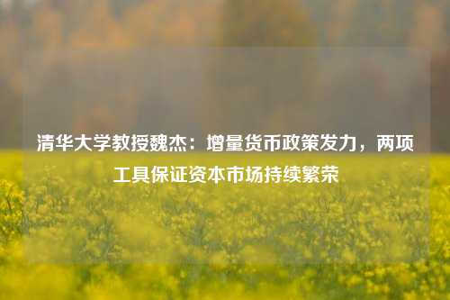 清华大学教授魏杰：增量货币政策发力，两项工具保证资本市场持续繁荣