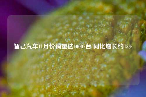 智己汽车11月份销量达10007台 同比增长约15%