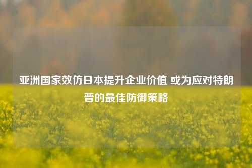 亚洲国家效仿日本提升企业价值 或为应对特朗普的最佳防御策略