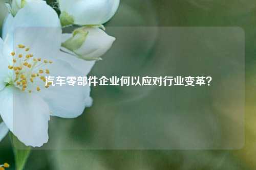 汽车零部件企业何以应对行业变革？