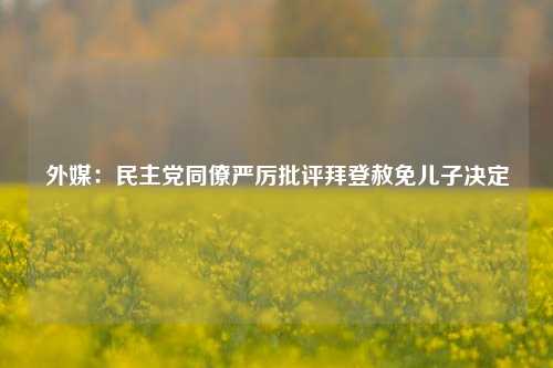 外媒：民主党同僚严厉批评拜登赦免儿子决定