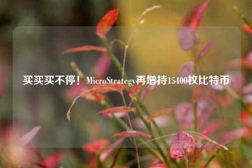 买买买不停！MicroStrategy再增持15400枚比特币