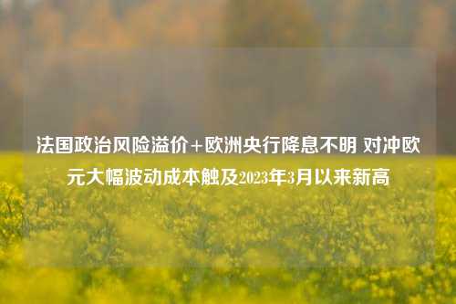 法国政治风险溢价+欧洲央行降息不明 对冲欧元大幅波动成本触及2023年3月以来新高