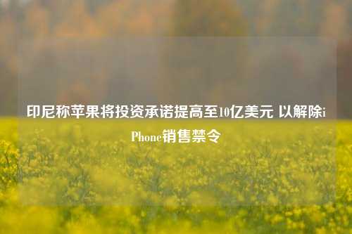 印尼称苹果将投资承诺提高至10亿美元 以解除iPhone销售禁令