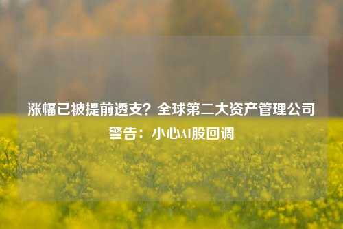 涨幅已被提前透支？全球第二大资产管理公司警告：小心AI股回调