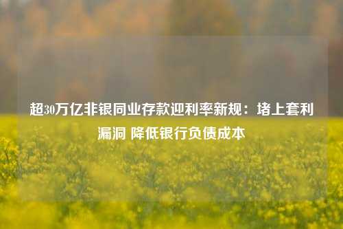 超30万亿非银同业存款迎利率新规：堵上套利漏洞 降低银行负债成本