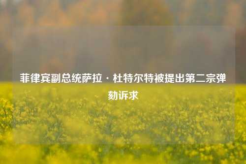 菲律宾副总统萨拉·杜特尔特被提出第二宗弹劾诉求