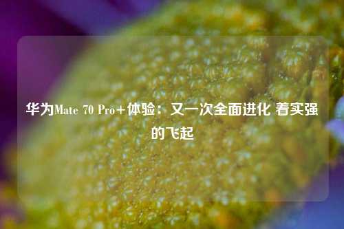 华为Mate 70 Pro+体验：又一次全面进化 着实强的飞起