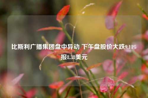 比斯利广播集团盘中异动 下午盘股价大跌9.11%报8.38美元