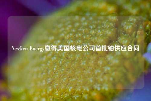 NexGen Energy赢得美国核电公司首批铀供应合同