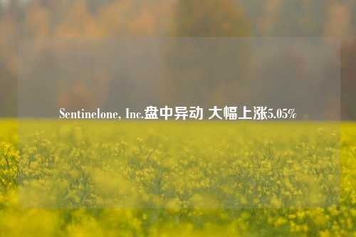 Sentinelone, Inc.盘中异动 大幅上涨5.05%