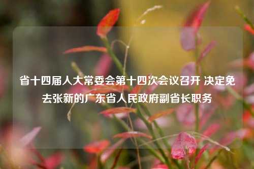 省十四届人大常委会第十四次会议召开 决定免去张新的广东省人民政府副省长职务