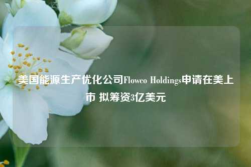 美国能源生产优化公司Flowco Holdings申请在美上市 拟筹资3亿美元