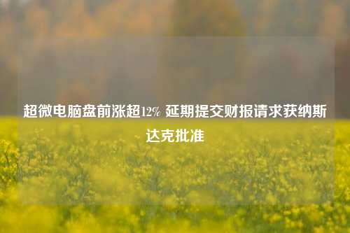 超微电脑盘前涨超12% 延期提交财报请求获纳斯达克批准