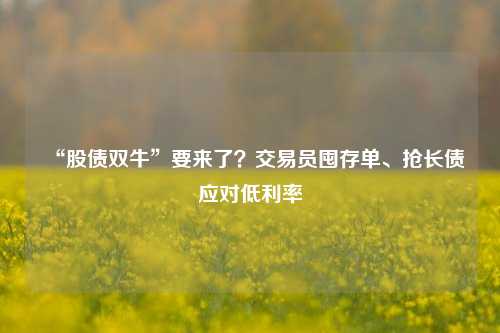 “股债双牛”要来了？交易员囤存单、抢长债应对低利率