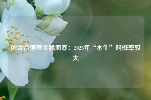 创金合信基金魏凤春：2025年“水牛”的概率较大