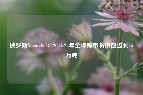 俄罗斯Nornickel：2024-25年全球镍市将供应过剩15万吨