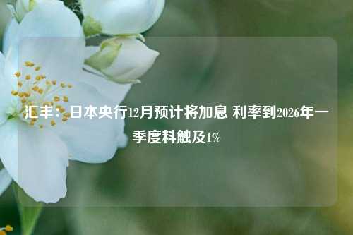 汇丰：日本央行12月预计将加息 利率到2026年一季度料触及1%