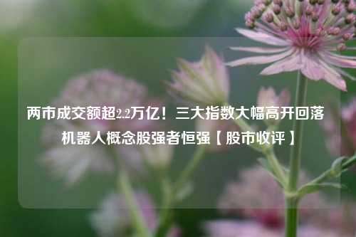 两市成交额超2.2万亿！三大指数大幅高开回落 机器人概念股强者恒强【股市收评】