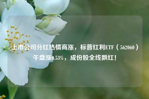 上市公司分红热情高涨，标普红利ETF（562060）午盘涨0.53%，成份股全线飘红！